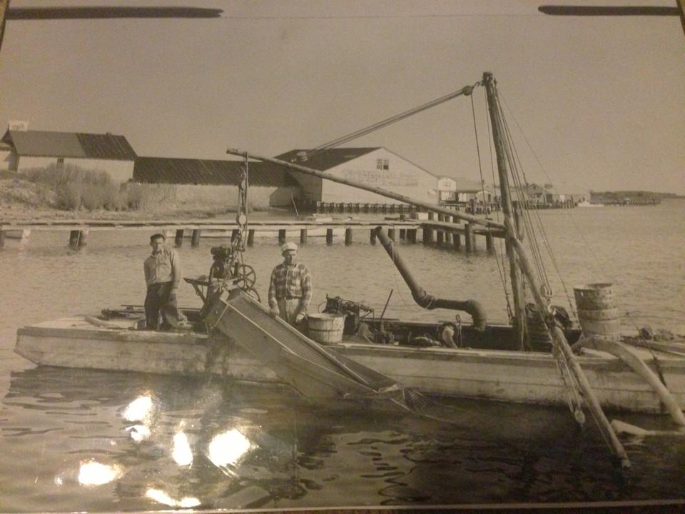 Clam Boat, Kent Narrows, 1953