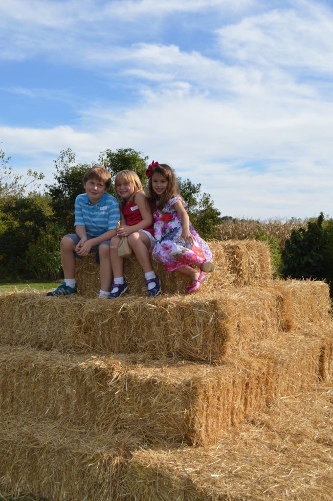 Kids love to play on the hay
